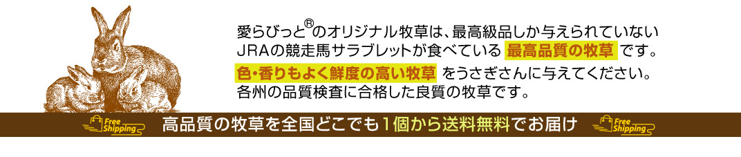 愛らびっと のオリジナル牧草は、最高級品しか与えられていないJRAの競走馬サラブレットが食べている 最高品質の牧草 です。色・香りもよく鮮度の高い牧草 をうさぎさんに与えてください。各州の品質検査に合格した良質の牧草です。高品質の牧草を全国どこでも１個から送料無料でお届け